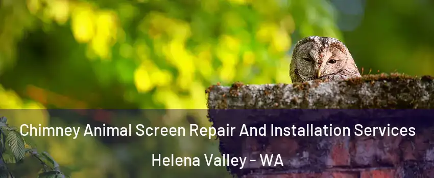Chimney Animal Screen Repair And Installation Services Helena Valley - WA