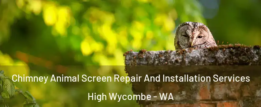 Chimney Animal Screen Repair And Installation Services High Wycombe - WA