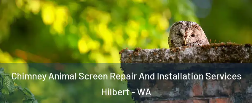 Chimney Animal Screen Repair And Installation Services Hilbert - WA