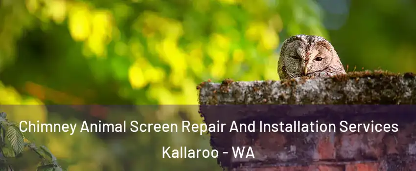 Chimney Animal Screen Repair And Installation Services Kallaroo - WA