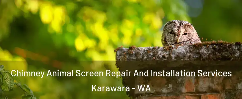 Chimney Animal Screen Repair And Installation Services Karawara - WA