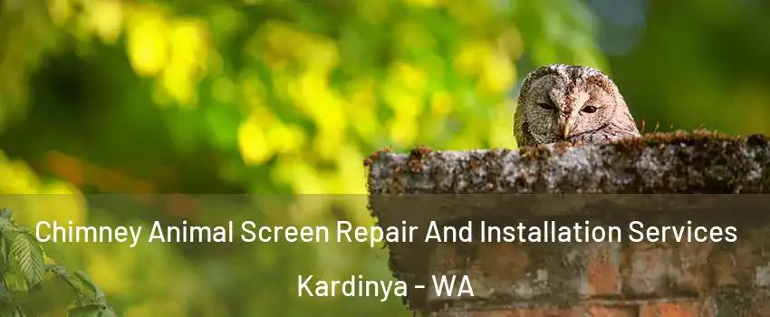 Chimney Animal Screen Repair And Installation Services Kardinya - WA