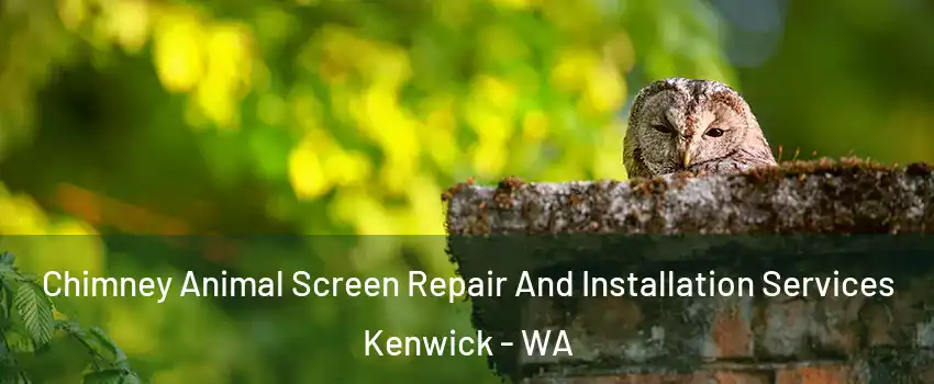 Chimney Animal Screen Repair And Installation Services Kenwick - WA