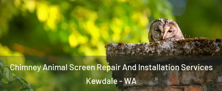 Chimney Animal Screen Repair And Installation Services Kewdale - WA