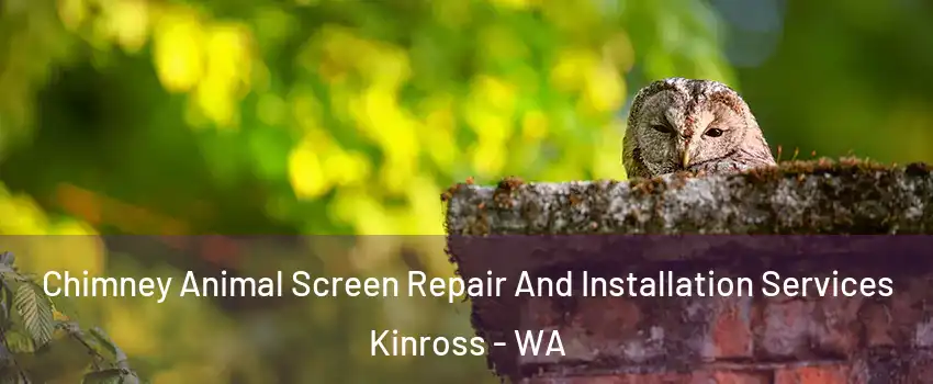 Chimney Animal Screen Repair And Installation Services Kinross - WA