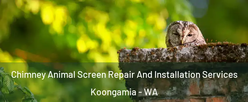 Chimney Animal Screen Repair And Installation Services Koongamia - WA