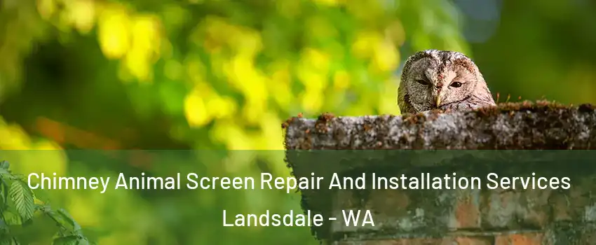 Chimney Animal Screen Repair And Installation Services Landsdale - WA