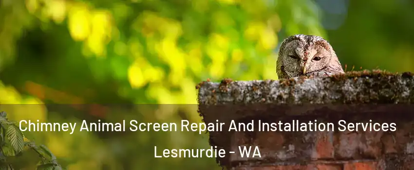 Chimney Animal Screen Repair And Installation Services Lesmurdie - WA