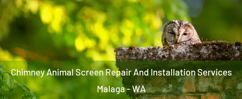 Chimney Animal Screen Repair And Installation Services Malaga - WA