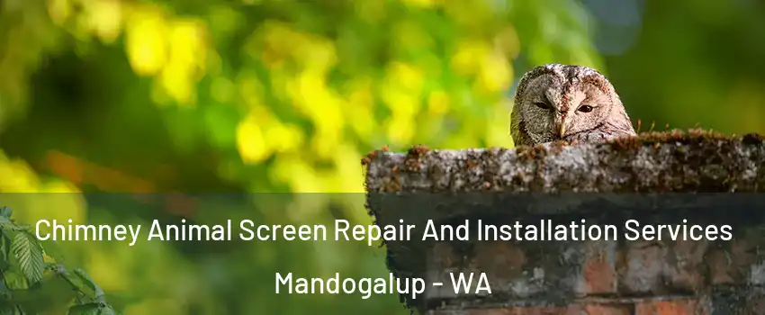 Chimney Animal Screen Repair And Installation Services Mandogalup - WA