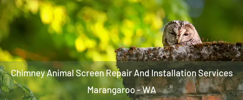 Chimney Animal Screen Repair And Installation Services Marangaroo - WA