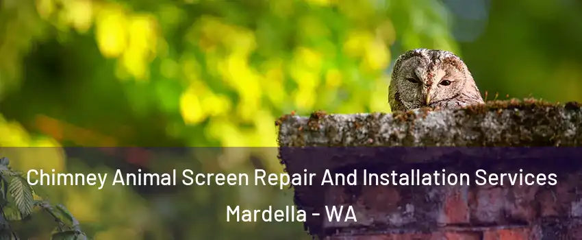 Chimney Animal Screen Repair And Installation Services Mardella - WA