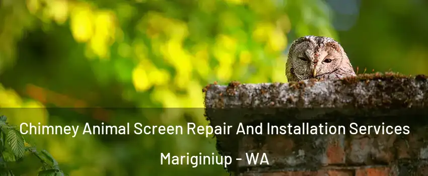 Chimney Animal Screen Repair And Installation Services Mariginiup - WA