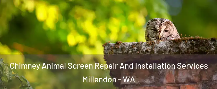 Chimney Animal Screen Repair And Installation Services Millendon - WA