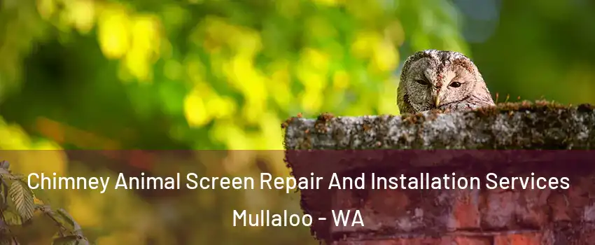 Chimney Animal Screen Repair And Installation Services Mullaloo - WA