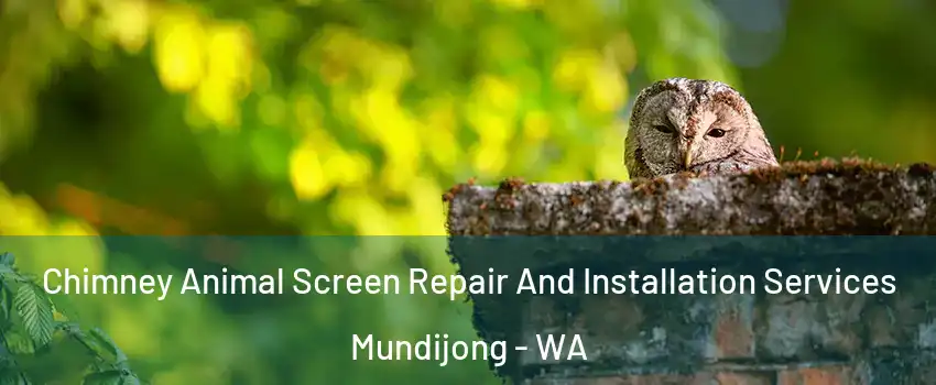 Chimney Animal Screen Repair And Installation Services Mundijong - WA