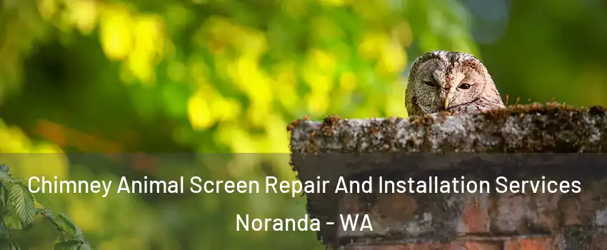 Chimney Animal Screen Repair And Installation Services Noranda - WA