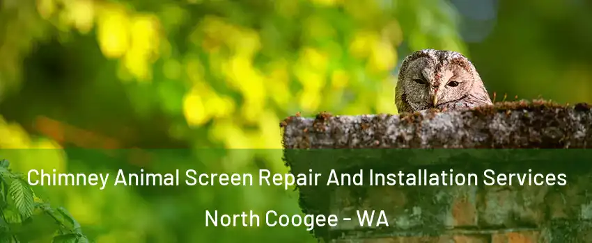 Chimney Animal Screen Repair And Installation Services North Coogee - WA