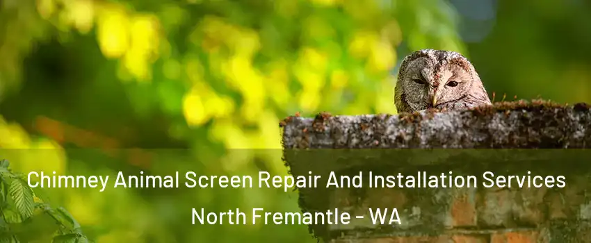 Chimney Animal Screen Repair And Installation Services North Fremantle - WA