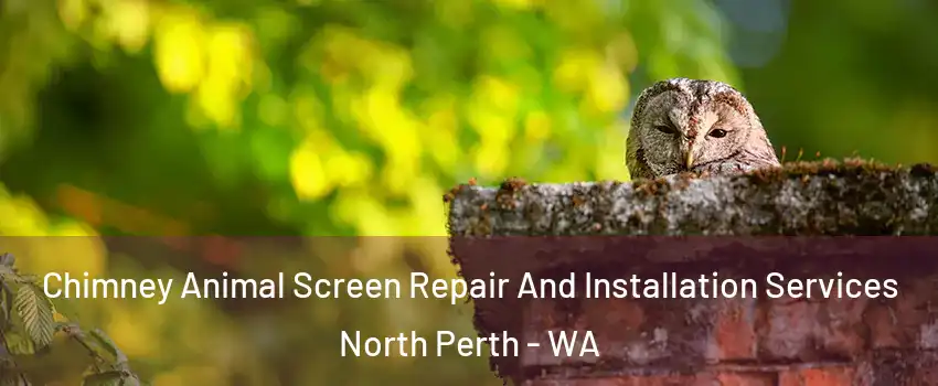 Chimney Animal Screen Repair And Installation Services North Perth - WA
