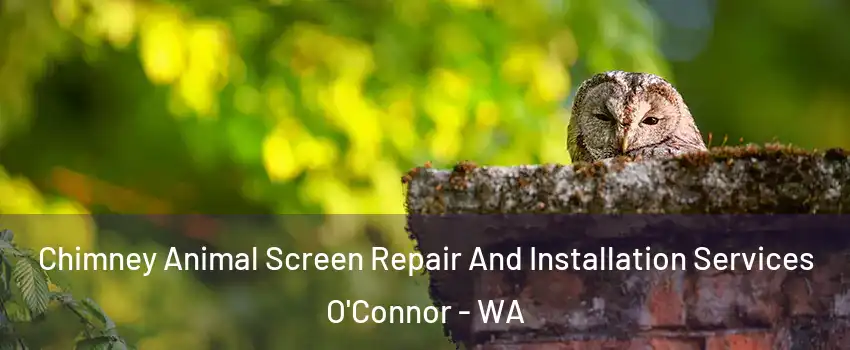 Chimney Animal Screen Repair And Installation Services O'Connor - WA