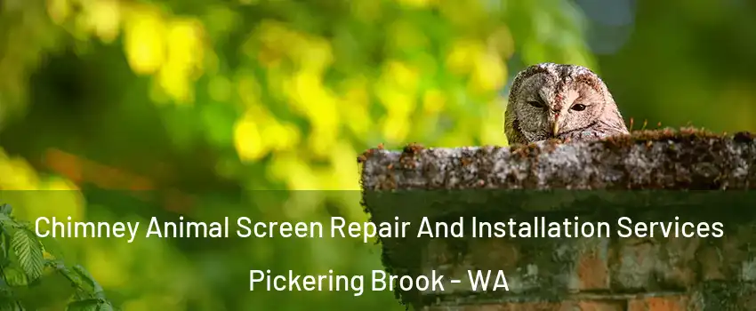 Chimney Animal Screen Repair And Installation Services Pickering Brook - WA