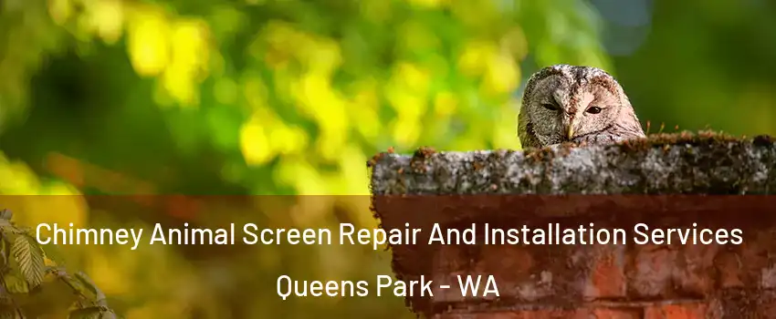 Chimney Animal Screen Repair And Installation Services Queens Park - WA