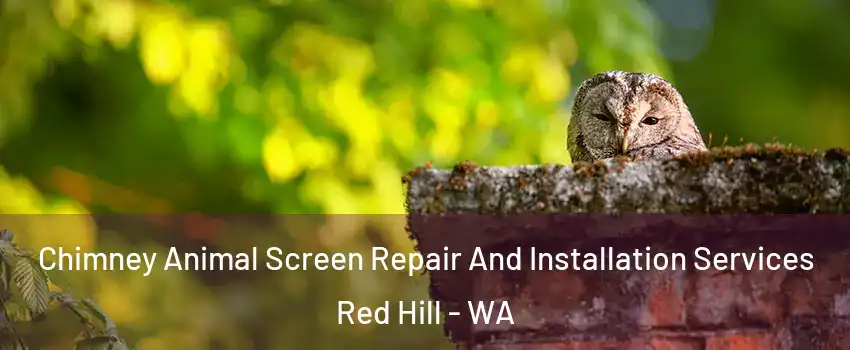Chimney Animal Screen Repair And Installation Services Red Hill - WA