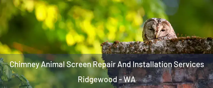 Chimney Animal Screen Repair And Installation Services Ridgewood - WA