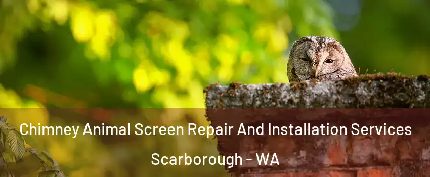 Chimney Animal Screen Repair And Installation Services Scarborough - WA
