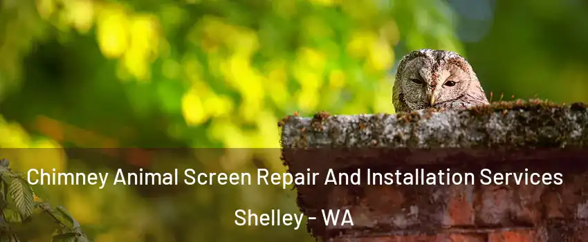 Chimney Animal Screen Repair And Installation Services Shelley - WA