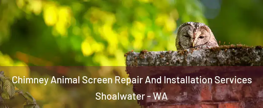 Chimney Animal Screen Repair And Installation Services Shoalwater - WA