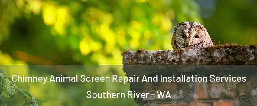 Chimney Animal Screen Repair And Installation Services Southern River - WA