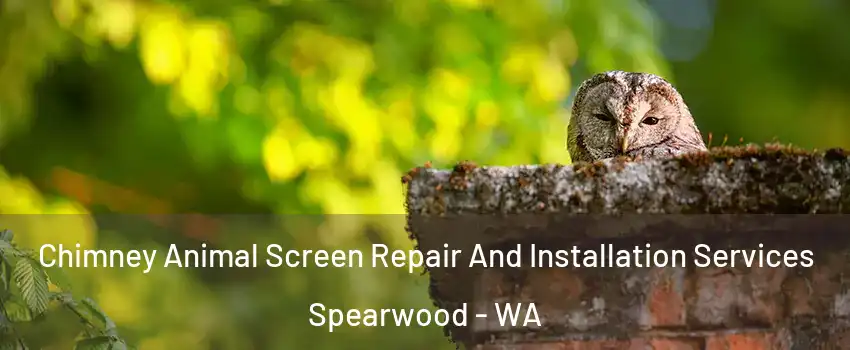 Chimney Animal Screen Repair And Installation Services Spearwood - WA