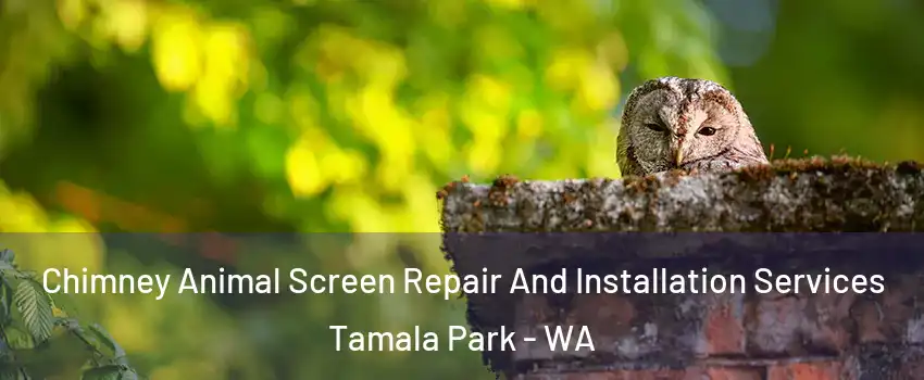 Chimney Animal Screen Repair And Installation Services Tamala Park - WA