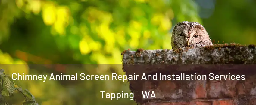 Chimney Animal Screen Repair And Installation Services Tapping - WA