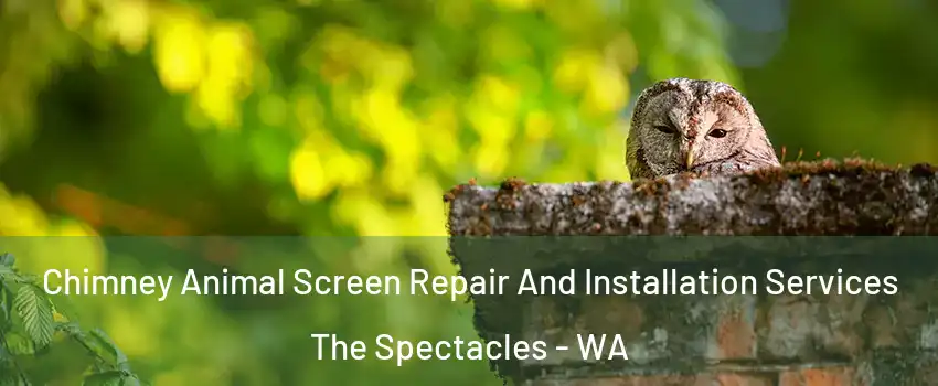 Chimney Animal Screen Repair And Installation Services The Spectacles - WA