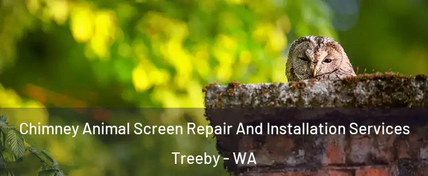 Chimney Animal Screen Repair And Installation Services Treeby - WA