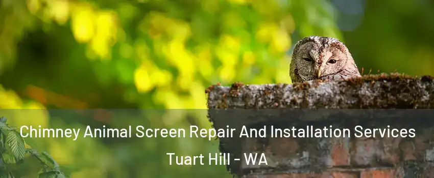 Chimney Animal Screen Repair And Installation Services Tuart Hill - WA