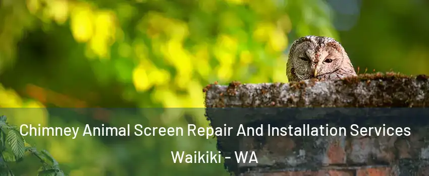 Chimney Animal Screen Repair And Installation Services Waikiki - WA