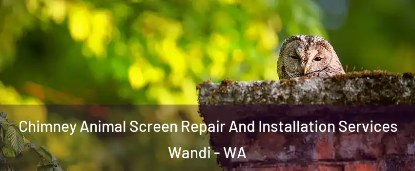 Chimney Animal Screen Repair And Installation Services Wandi - WA