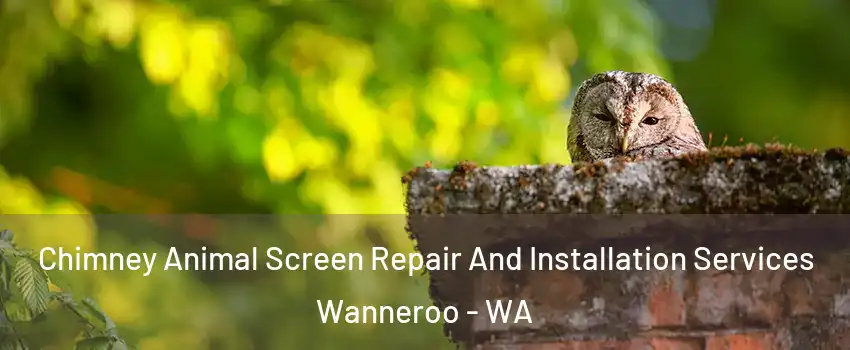 Chimney Animal Screen Repair And Installation Services Wanneroo - WA
