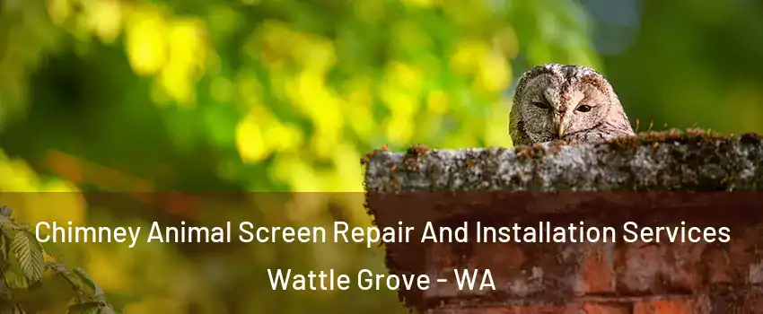 Chimney Animal Screen Repair And Installation Services Wattle Grove - WA