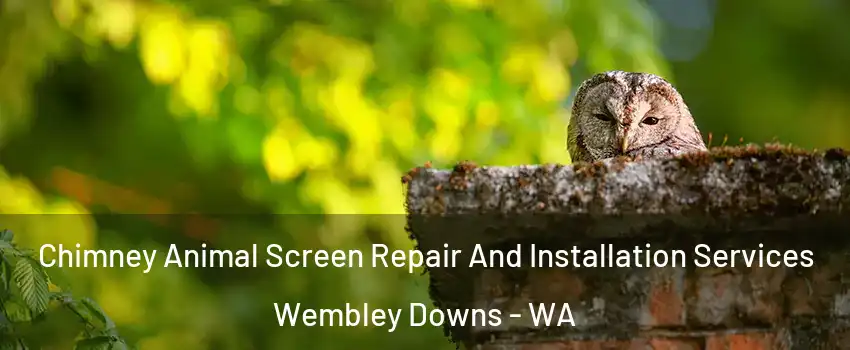 Chimney Animal Screen Repair And Installation Services Wembley Downs - WA