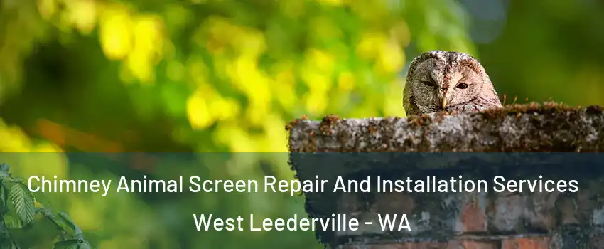 Chimney Animal Screen Repair And Installation Services West Leederville - WA