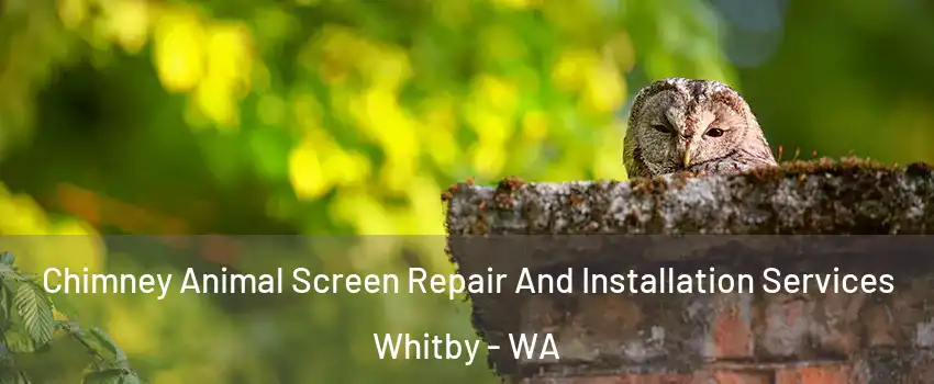 Chimney Animal Screen Repair And Installation Services Whitby - WA