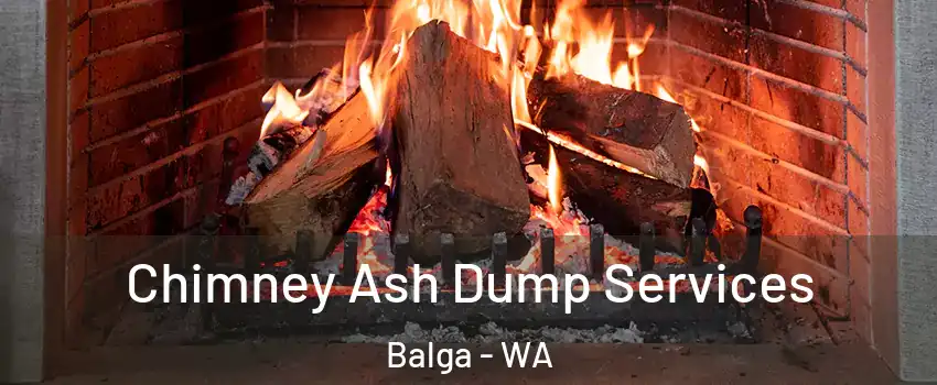 Chimney Ash Dump Services Balga - WA
