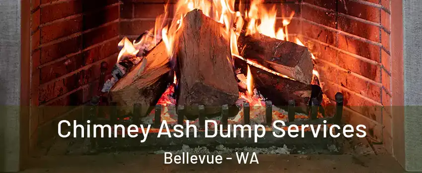 Chimney Ash Dump Services Bellevue - WA