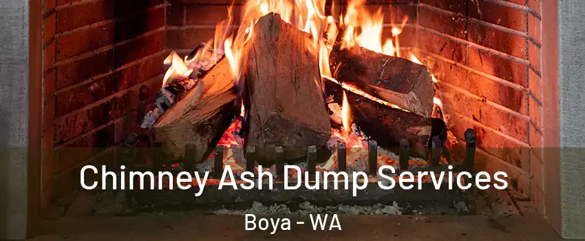 Chimney Ash Dump Services Boya - WA
