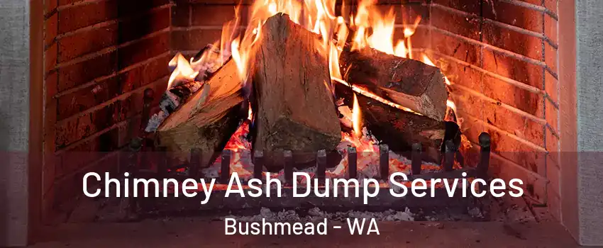 Chimney Ash Dump Services Bushmead - WA